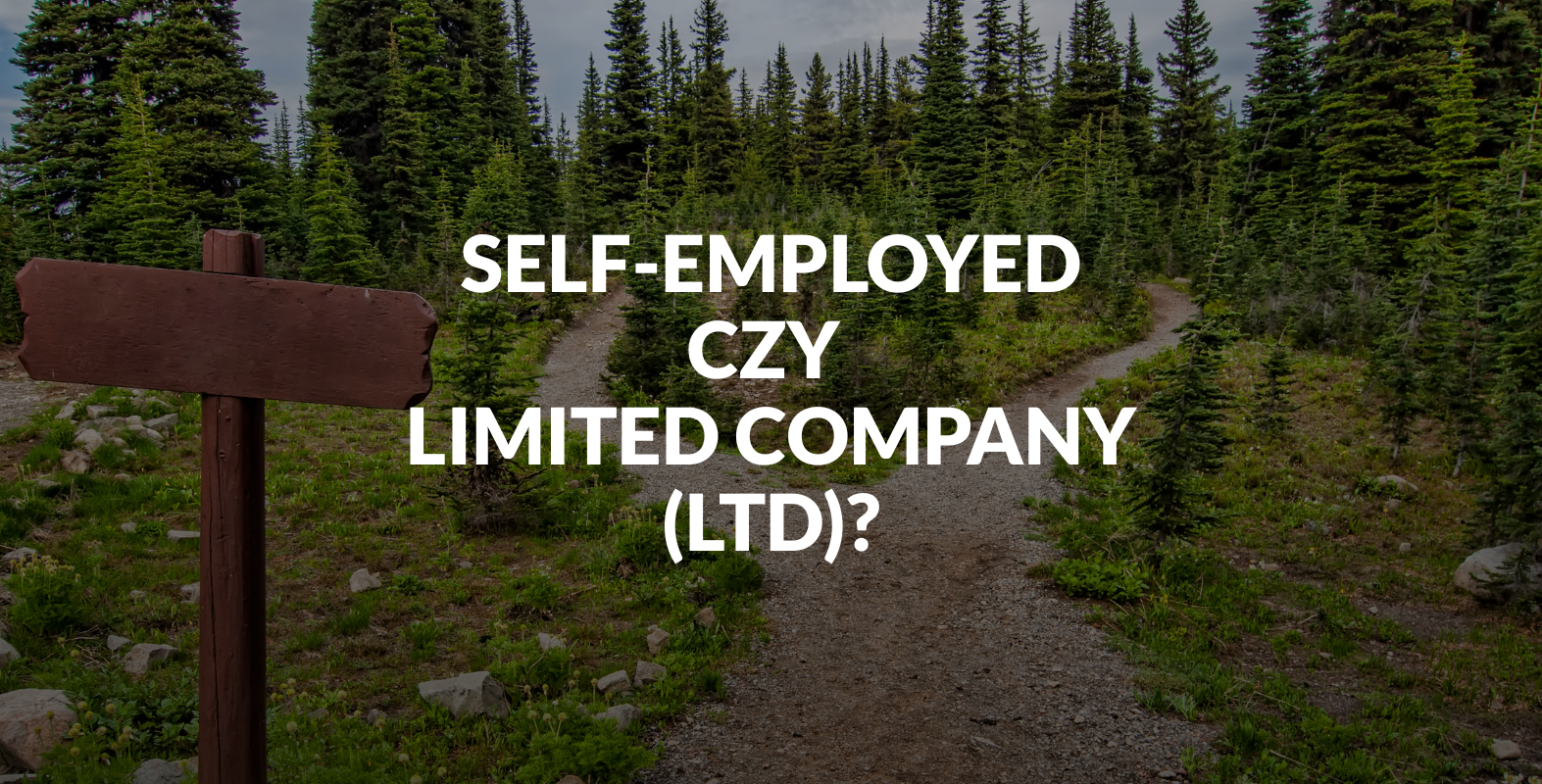 Self-Employed czy LTD? Co bardziej Ci się opłaci?